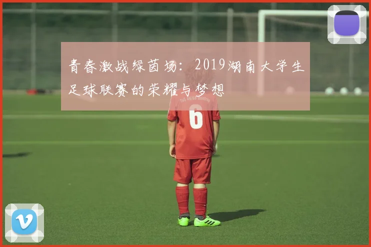 青春激战绿茵场:2019湖南大学生足球联赛的荣耀与梦想