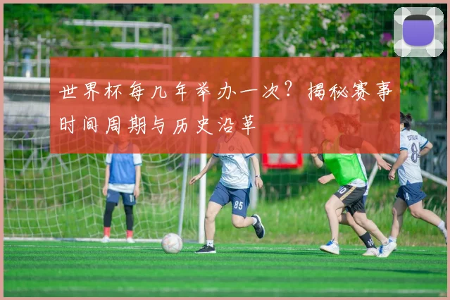 世界杯每几年举办一次？揭秘赛事时间周期与历史沿革
