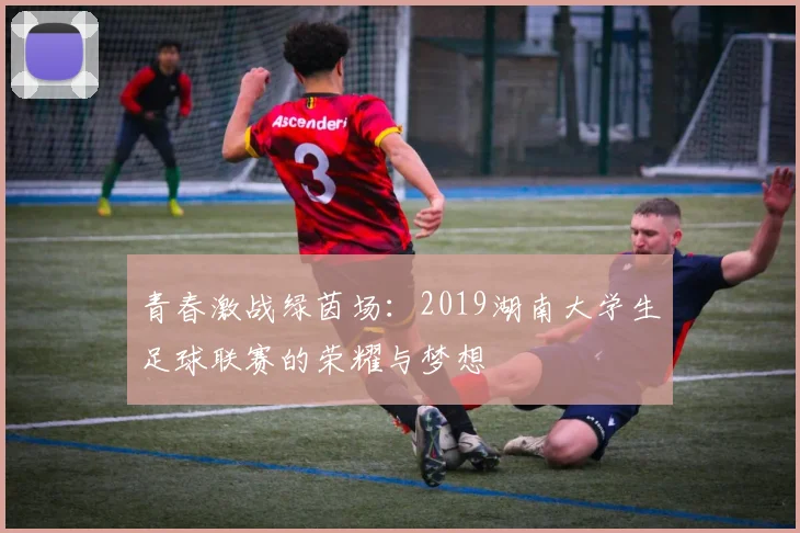 青春激战绿茵场:2019湖南大学生足球联赛的荣耀与梦想