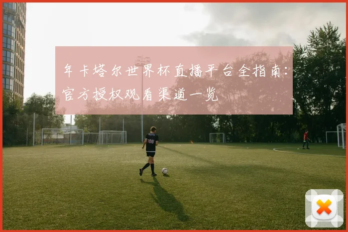 年卡塔尔世界杯直播平台全指南：官方授权观看渠道一览